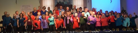 Vocal Latitudes – a world music choir
