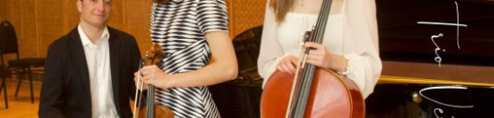 Trio Vertice