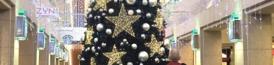 Nov 13 ConocoPhillips Choir & Via Voci Choir Christmas Concert