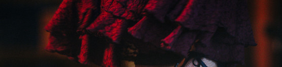 FLAMENCO dance and music